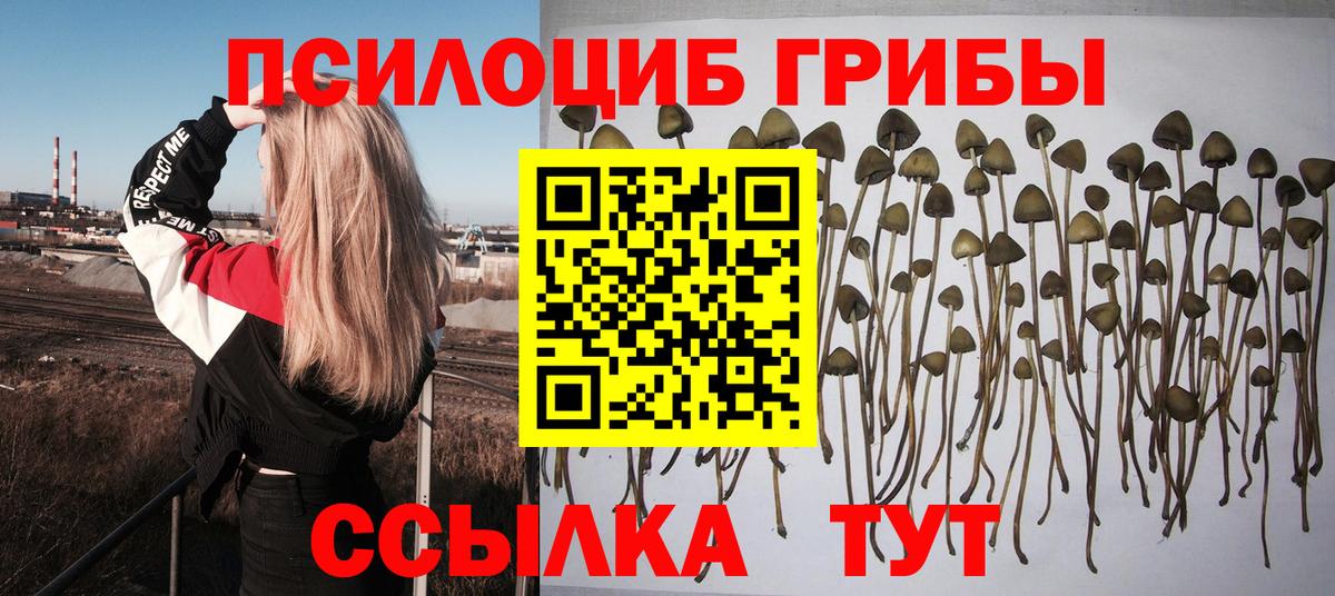 Пугачёв  Псилоцибиновые грибы прущие грибы  Вход с VPN  Галлюциногенные грибы Magic Shrooms 